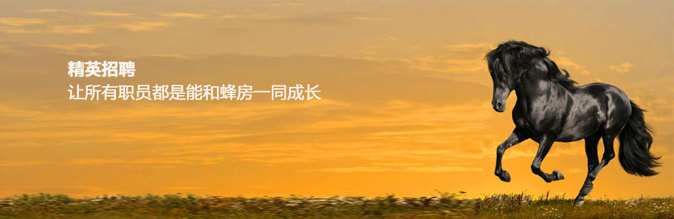 蜂房三大優(yōu)勢之人才優(yōu)勢