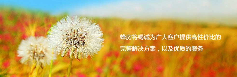 蜂房三大優(yōu)勢之產(chǎn)品優(yōu)勢